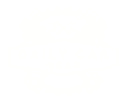 Daily Car Gear Logo (1)